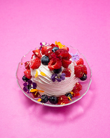 Pavlova002
