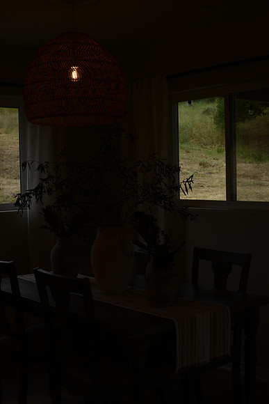 EJD_0342