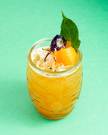 GardenPunch005