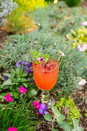 StrawberryBasilMargarita008