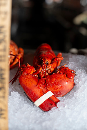 OysterBar009_HighRes
