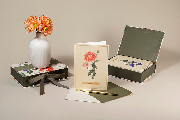 WebRes2_FlowerBoxSet002 copy