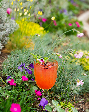 StrawberryBasilMargarita009