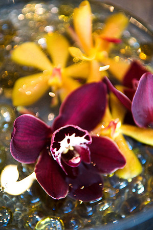 Emily J Davis Weddings_047WEB