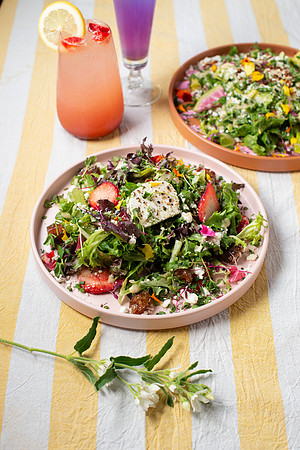 TheDahliaSalad005