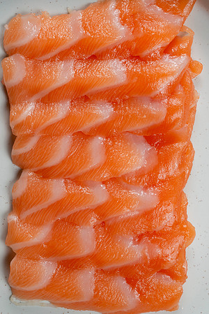 Salmon049