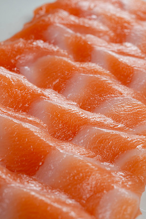 Salmon047