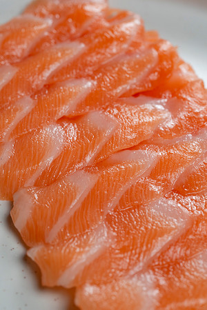 Salmon048