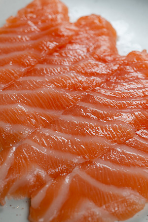 Salmon053