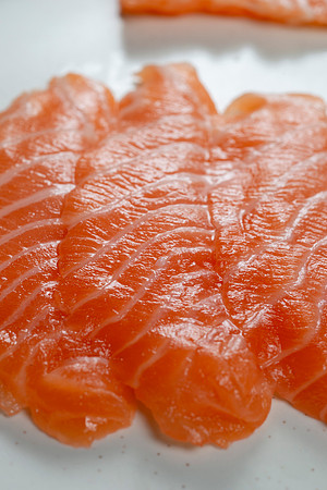 Salmon055