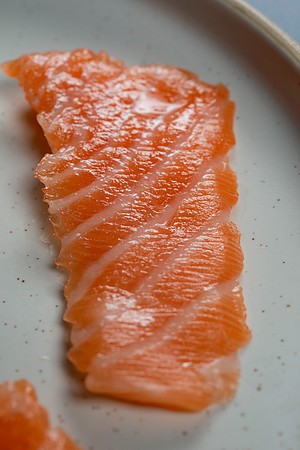 Salmon056