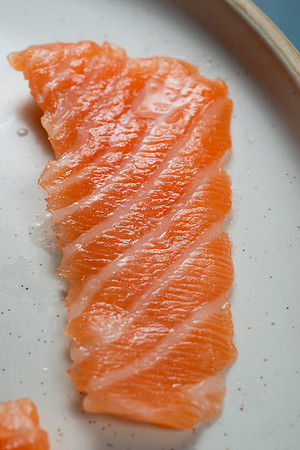 Salmon059