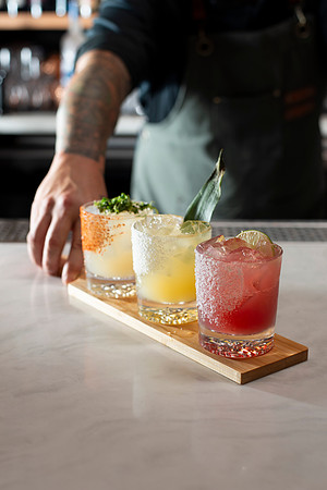 MargaritaFlight002