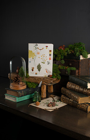 FringeStudio_SELECTS_001