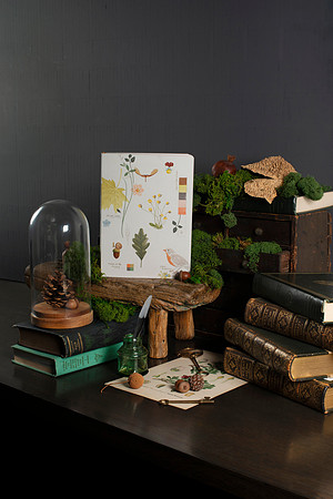 FringeStudioFINAL004