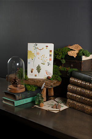 FringeStudioFINAL003