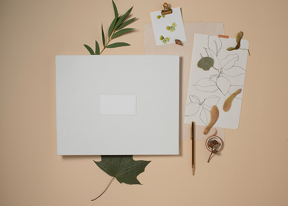 FringeStudioFINAL008