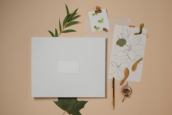 FringeStudioFINAL009