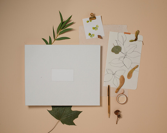 FringeStudioFINAL011