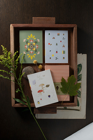 FringeStudioFINAL020