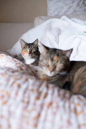 Maggie_Lucy_Dec21_002