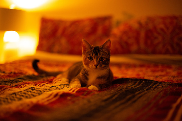 MaggieLucy_001