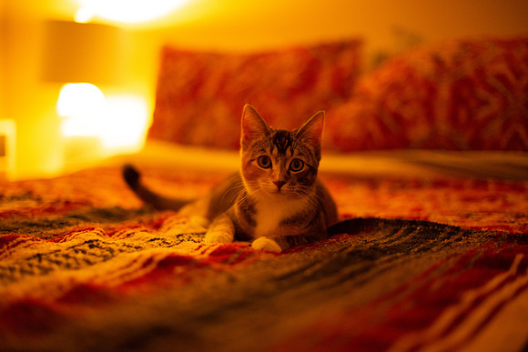 MaggieLucy_002