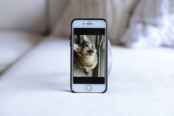 EJD_9009