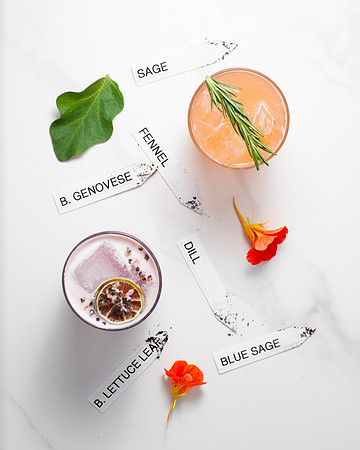 BrunchMenu_029_HighRes
