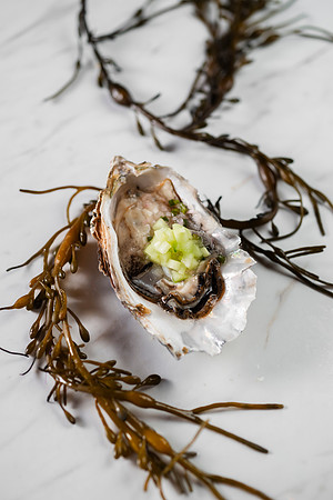 OysterTrio004