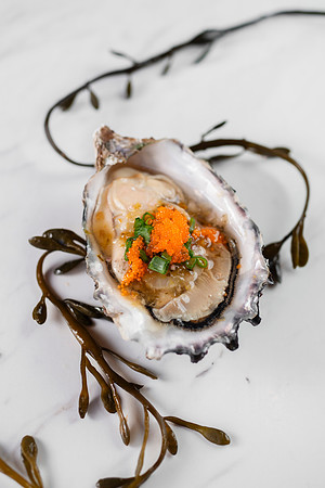 OysterTrio009