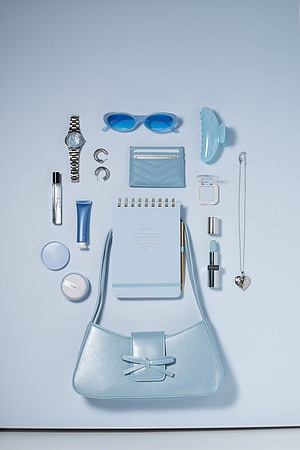 WebResBluePurseScene001_HighRes