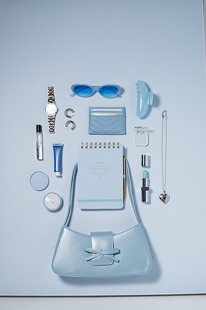 WebResBluePurseScene002_HighRes