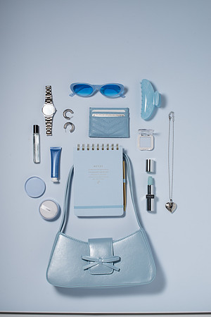WebResBluePurseScene003_HighRes