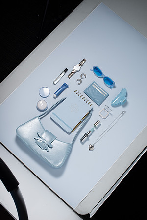 WebResBluePurseScene004_HighRes