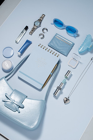 WebResBluePurseScene005_HighRes