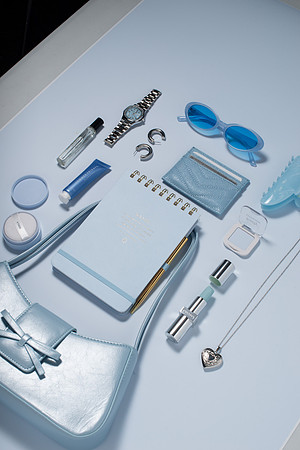 WebResBluePurseScene007_HighRes