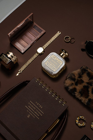 WebResChocolateBrownTheme009_HighRes