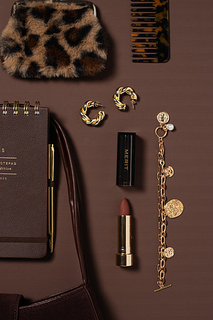 WebResChocolateBrownTheme011_HighRes