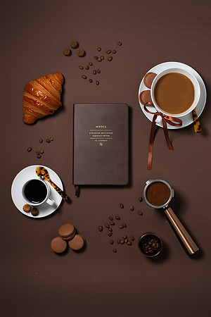 WebResChocolateBrownTheme025_HighRes