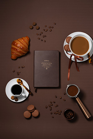 WebResChocolateBrownTheme026_HighRes