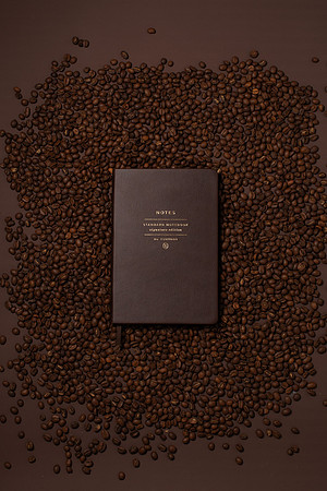 WebResChocolateBrownTheme032_HighRes