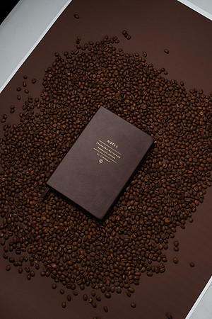 WebResChocolateBrownTheme033_HighRes