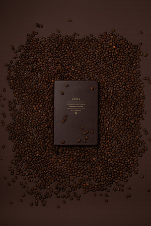 WebResChocolateBrownTheme034_HighRes