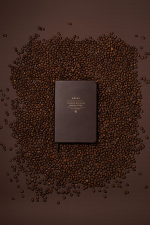 WebResChocolateBrownTheme031_HighRes