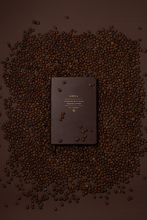 WebResChocolateBrownTheme037_HighRes