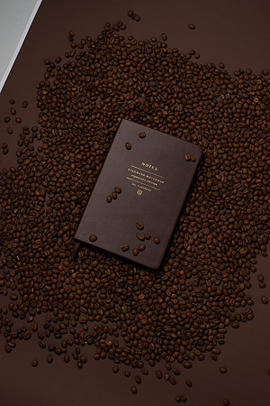 WebResChocolateBrownTheme038_HighRes