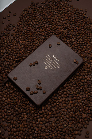 WebResChocolateBrownTheme035_HighRes