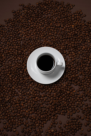 WebResChocolateBrownTheme039_HighRes