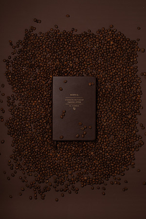WebResChocolateBrownTheme036_HighRes